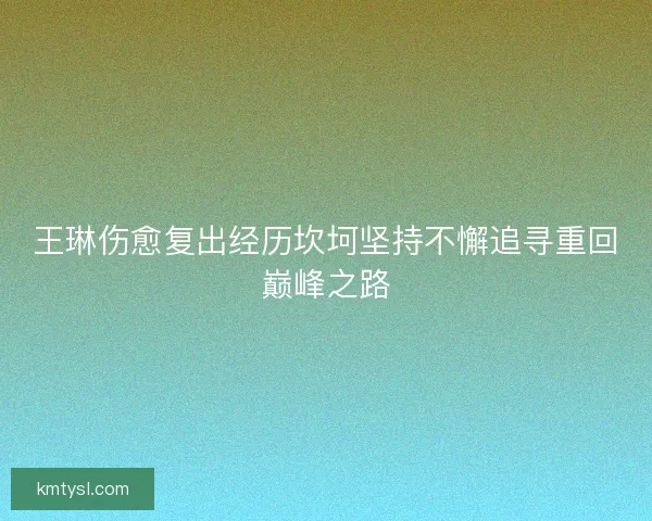 王琳伤愈复出经历坎坷坚持不懈追寻重回巅峰之路