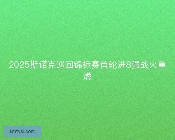 2025斯诺克巡回锦标赛首轮进8强战火重燃 2025斯诺克巡回锦标赛首轮进8强战火重燃
